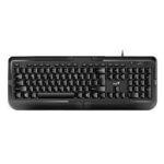کیبورد جنیوس مدل KB-118
